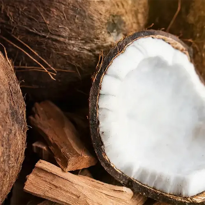 Fragancia Candle Science - Santal and Coconut - Sándalo y Coco - Importado de USA - Candle Craft
