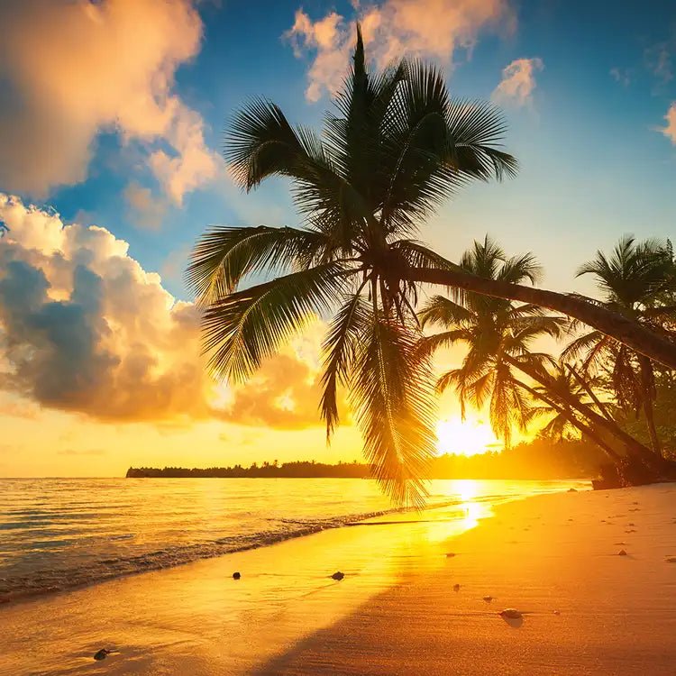 Fragancia Candle Science - Solar Sands - Arenas Solares - Importado de USA - Candle Craft