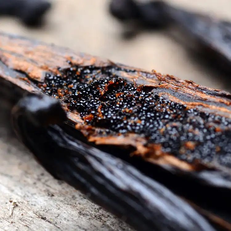 Fragancia Candle Science - Very Vanilla - Pura Vainilla - Importado de USA - Candle Craft