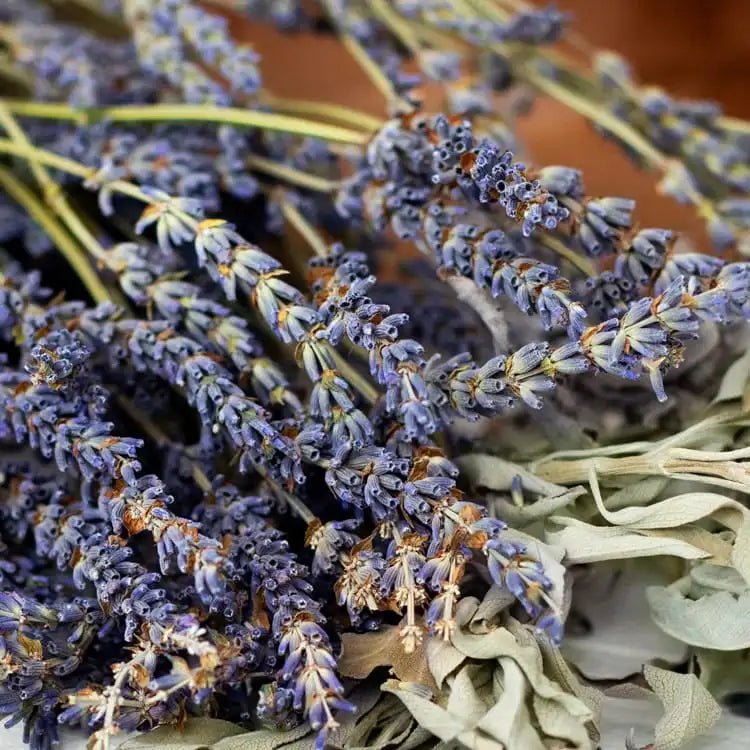 Fragancia Candle Science - White Sage and Lavender - Salvia Blanca y Lavanda - Importado de USA - Candle Craft