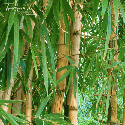 Fragancia Midwest Fragrance Company - Bamboo + Teakwood - Bambú + Madera de Teca - Importado de USA - Candle Craft