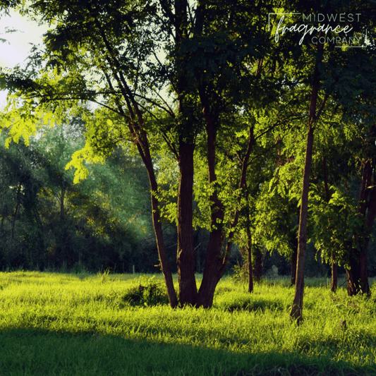 Fragancia Midwest Fragrance Company - Bergamot + Sandalwood - Bergamota + Sándalo - Importado de USA - Candle Craft