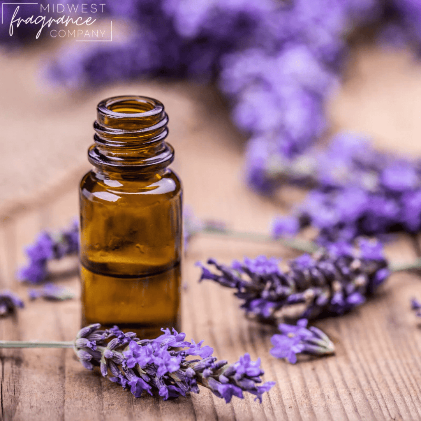 Fragancia Midwest Fragrance Company - Black Amber + Lavender - Ámbar Negro + Lavanda - Importado de USA - Candle Craft