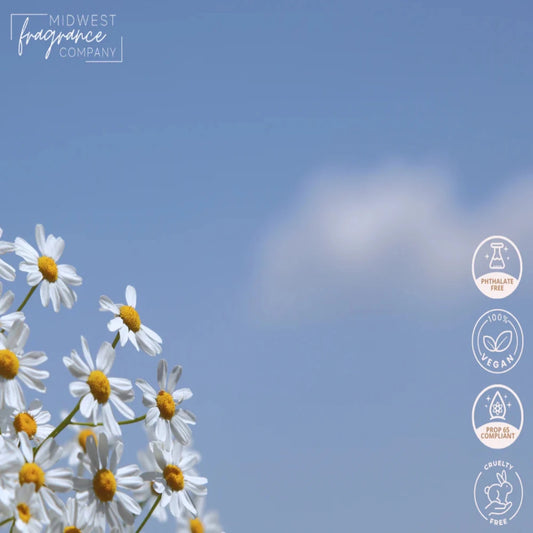 Fragancia Midwest Fragrance Company - Gingham - Inspirada en Bath & Body Works (BBW)® / White Barn ® - Candle Craft