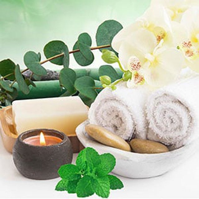 Fragancia Nature's Garden - Eucalyptus & Spearmint - Eucalipto y Hierbabuena - Importado de USA - Candle Craft
