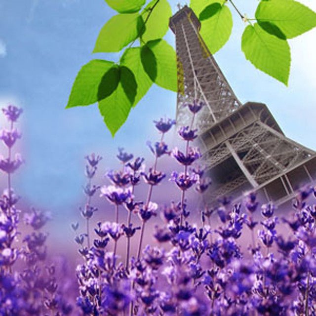 Fragancia Nature's Garden - French Lavender - Lavanda Francesa - Importado de USA - Candle Craft