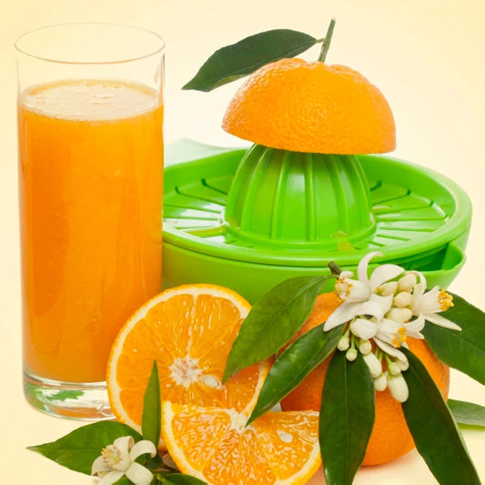 Fragancia Nature's Garden - Fresh Squeezed Orange - Naranja Recien Exprimida - Importado de USA - Candle Craft