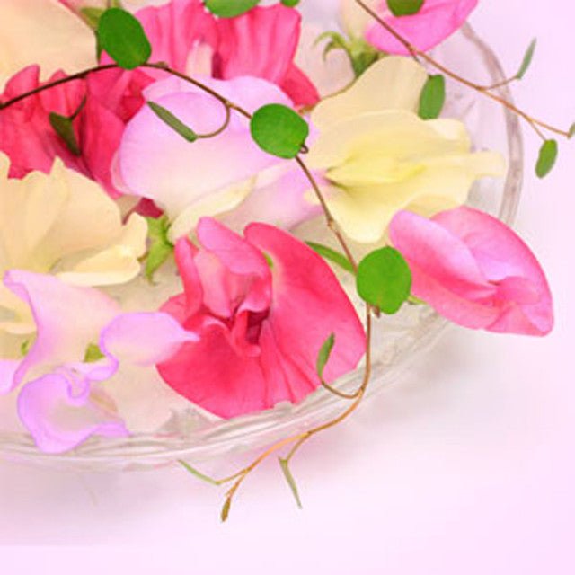 Fragancia Nature's Garden - Sweet Pea - Guisante de olor - Importado de USA - Candle Craft
