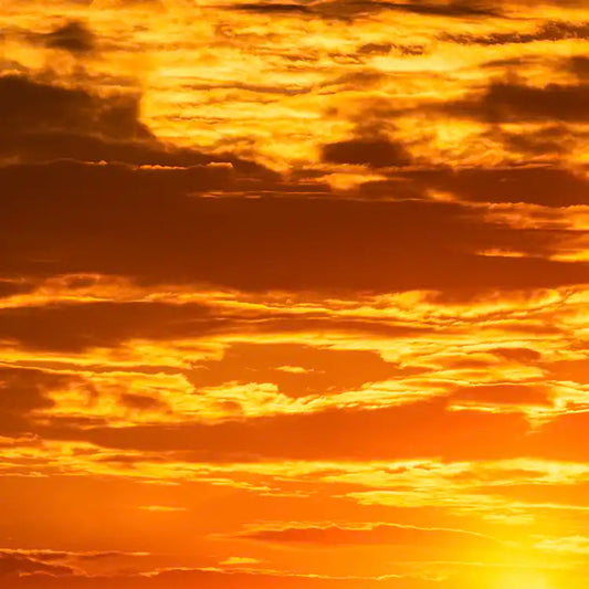 Fragancia Candle Science- Golden Hour - Hora Dorada - Importado de USA