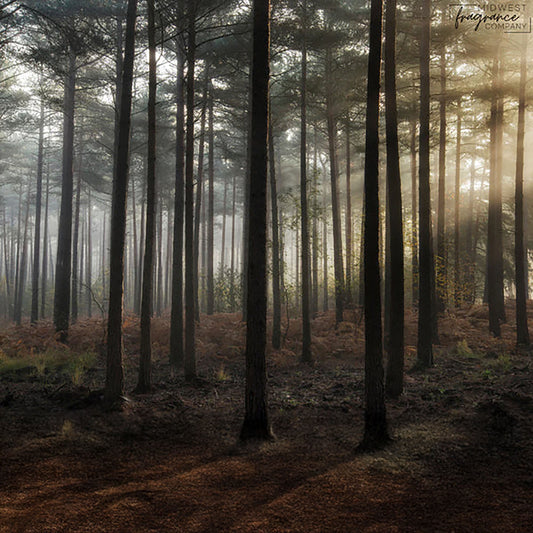 Fragancia Midwest Fragrance Company - Iced Vanilla Woods - Bosque de Vainilla Helada- Inspirada en Bath & Body Works (BBW)® / White Barn ®