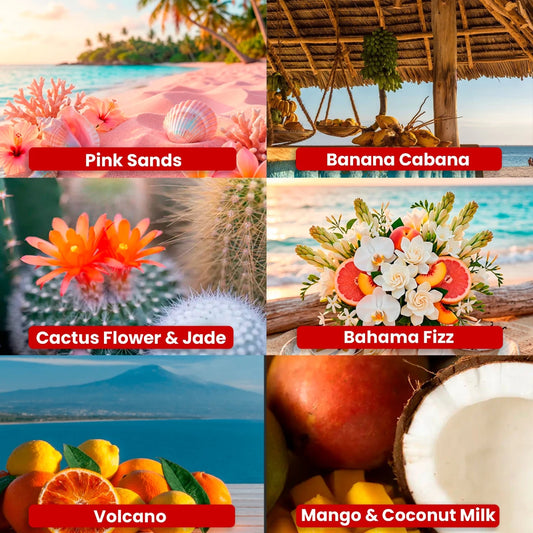 Kit de Fragancias - 6 Aromas de Primavera / Verano - 6 Muestras de 30 g para Velas - Candle Craft