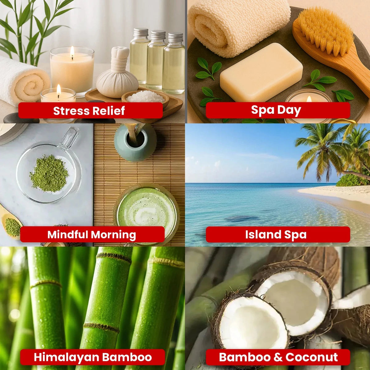 Kit de Fragancias - 6 Aromas de Spa - 6 Muestras de 30 g para Velas - Candle Craft