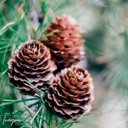 Fragancia Midwest Fragrance Company - Roasted Pine Cone - Fragrance Oil - Importado de USA