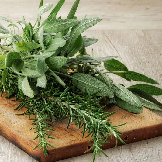 Fragancia Candle Science - Rosemary Sage - Romero y Salvia - Importado de USA