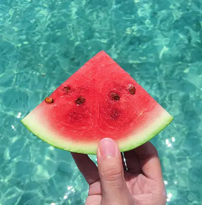 Fragancia Candle Craft- Coastal Watermelon - Sandía de la Costa - Inspirada en Bath & Body Works (BBW)® / White Barn ®