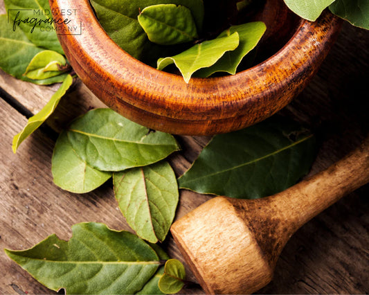 Fragancia Midwest Fragrance Company - Tobacco + Bay Leaf - Tabaco y Hoja de Laurel - Importado de USA