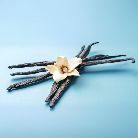 Fragancia Candle Craft - Vanilla Bean - Vaina de Vainilla - Importado de USA