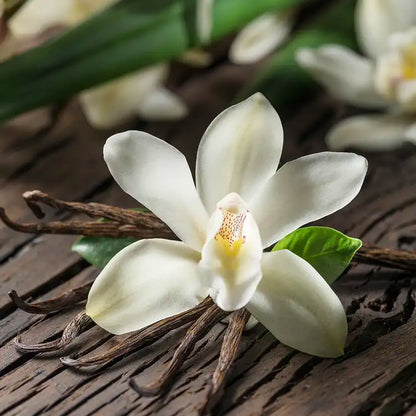 Fragancia Candle Science - Vanilla Orchid - Orquídea de Vainilla - Importado de USA