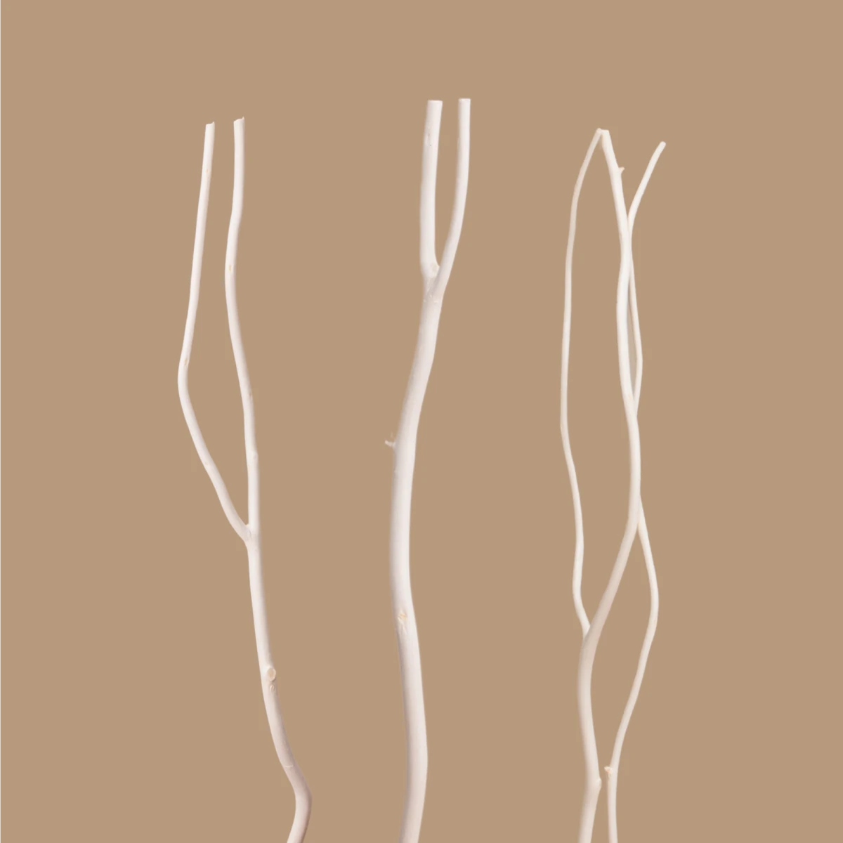 Varillas para Difusor - Ramas de Sauce - 25cm - Difusor Sticks - Varitas de Sauce para Difusores - Color Madera - Candle Craft