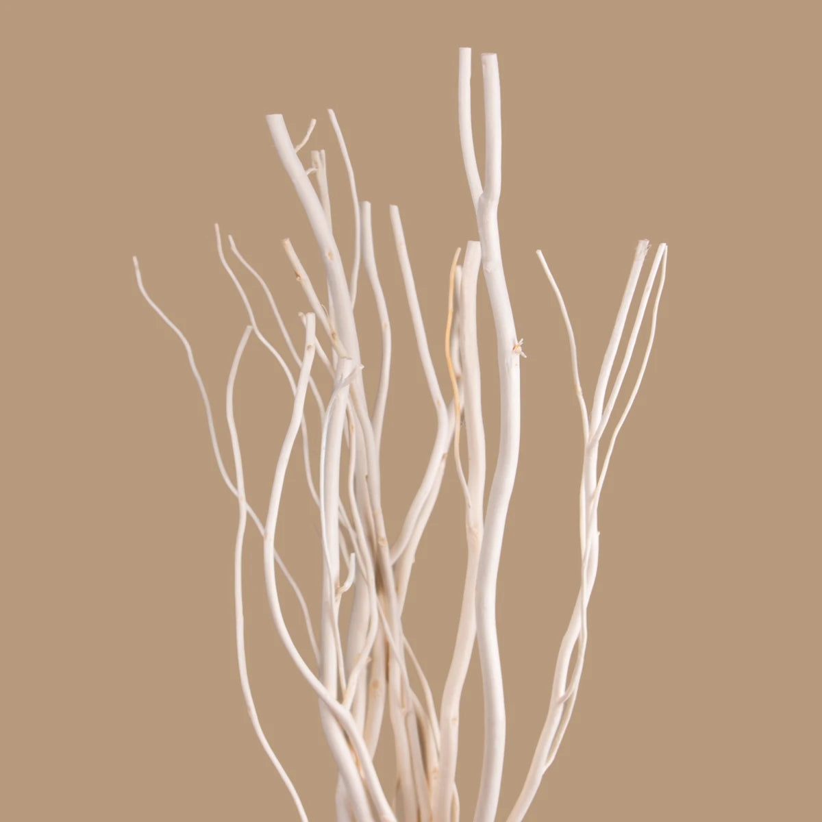 Varillas para Difusor - Ramas de Sauce - 25cm - Difusor Sticks - Varitas de Sauce para Difusores - Color Madera - Candle Craft